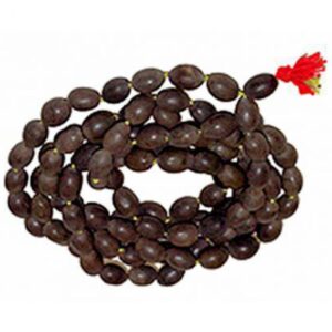 Original 108+1 Lotus Seeds Kamal Gatta Mala For Japa , Laxmi Pooja