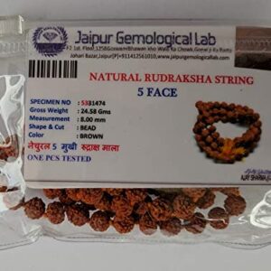 5 Mukhi Rudraksha Mala Original 108 beads with Certificate
