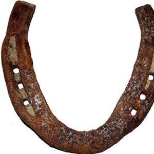 Black Horse Shoe/Kale Ghode ki Naal | for Good Luck and Nazar Suraksha for House/Car/Bike